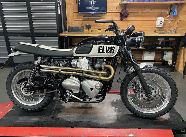 Triumph Customized Elvis 