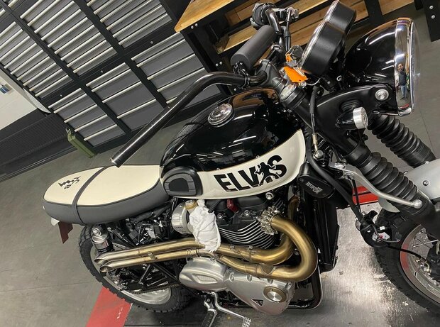 Triumph Customized Elvis 